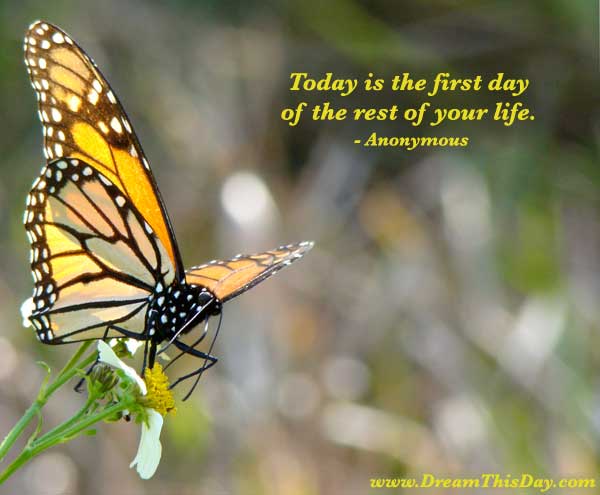 Short Quotes about Life. Today is the first day of the rest of your life.